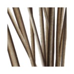 Quill de Pavo Real Desbarbado y Teñido Polish Quill&Fly