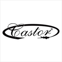 CASTOR