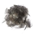 Plumas de Culo de Pato CDC Natural 1 Gramo