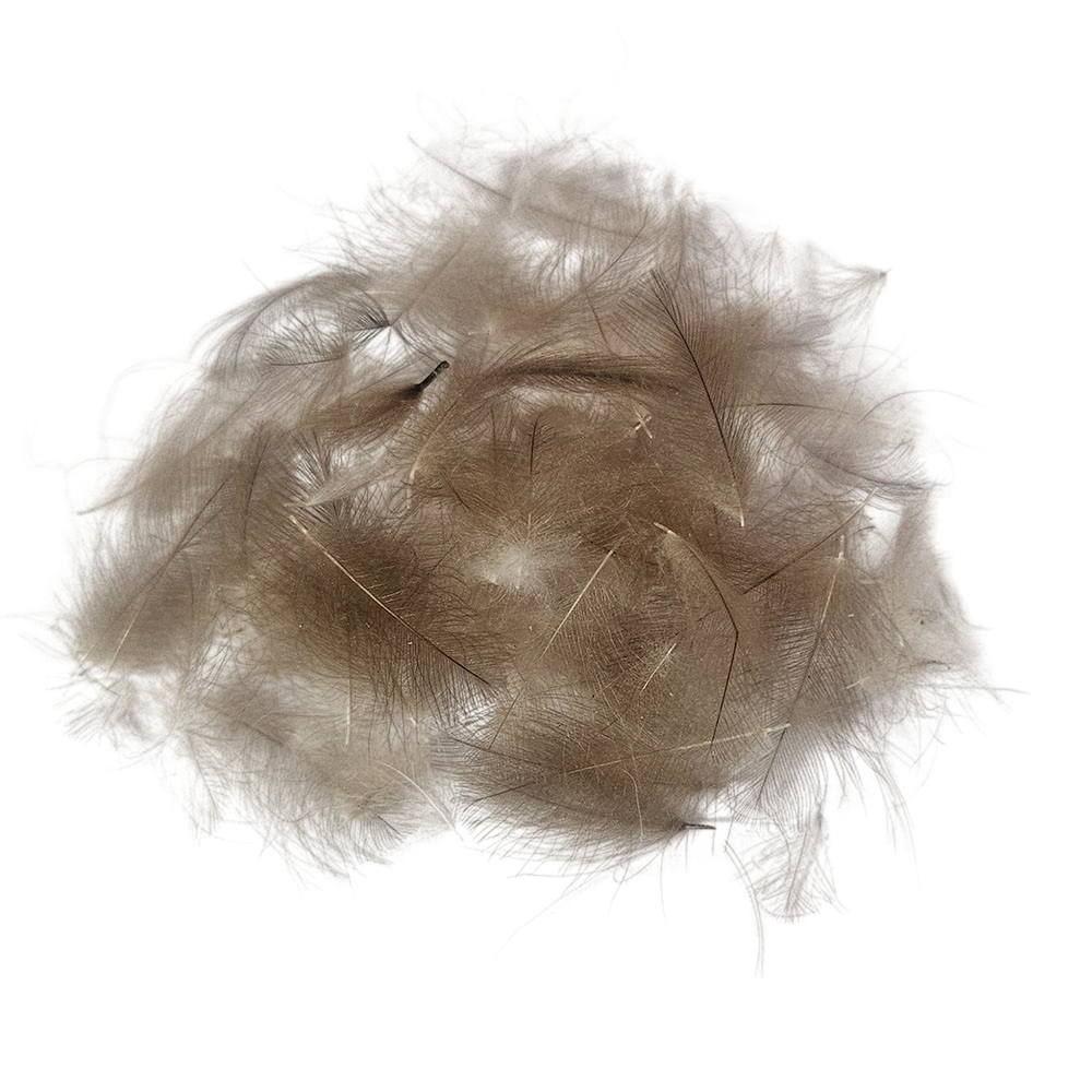 plumas de cdc natural brown Plumas de Culo de Pato CDC Natural 1 Gramo