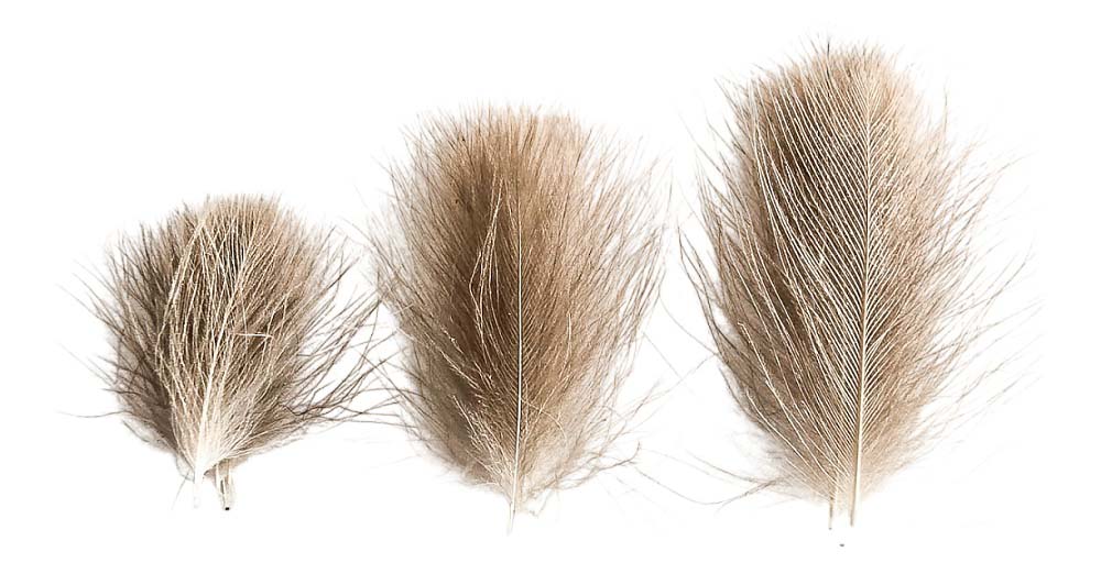 cdc selected polish natural khaki 50 plumas