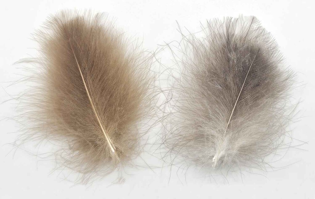 PLUMAS CDC DEVAUX SUPER SELECT 50 KAKI