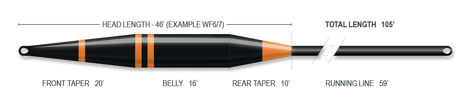 Linea-Airflo-Perfil-Sixth-Sense-2-SInking-FLy-Line-taper