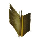 Quill de Pavo JMC