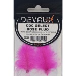 Plumas de CDC DEVAUX