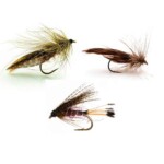 Plumas de pecho de Pato Mallard