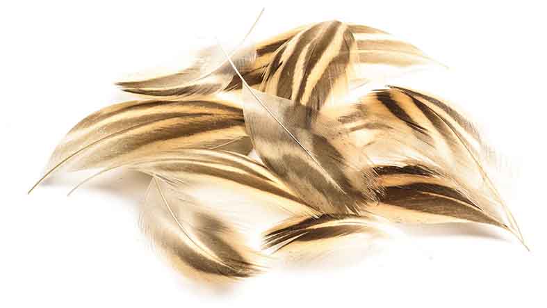 plumas de flanco y pecho de pato
