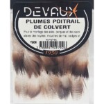 Plumas de pecho de Pato Mallard